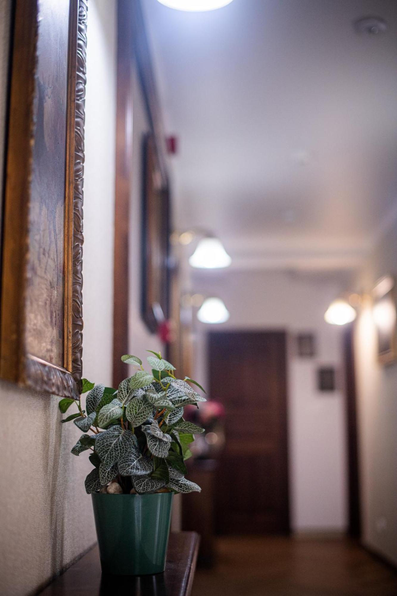 Pensiunea Nora Prestige Timişoara Buitenkant foto